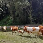 Tatil Evi Teichhaus Simperle By Interhome