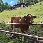 Teichhaus Simperle By Interhome Grades