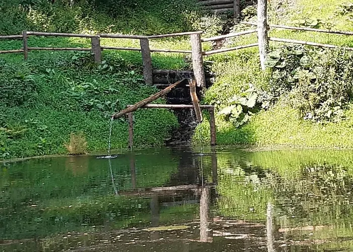 Teichhaus Simperle By Interhome * Grades