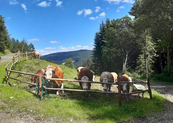 Teichhaus Simperle By Interhome Dom wakacyjny