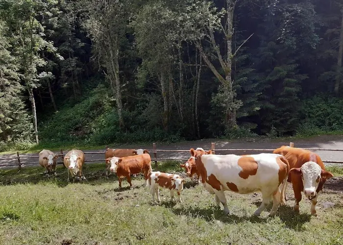 Dom wakacyjny Teichhaus Simperle By Interhome