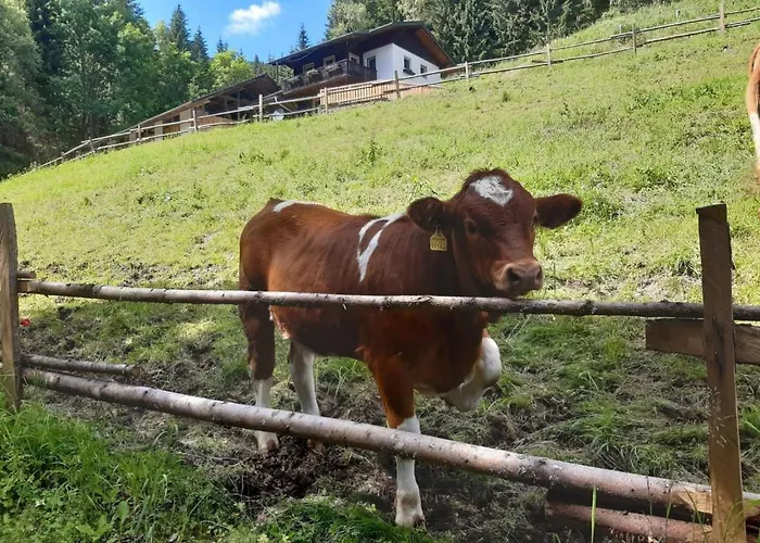 Teichhaus Simperle By Interhome Grades